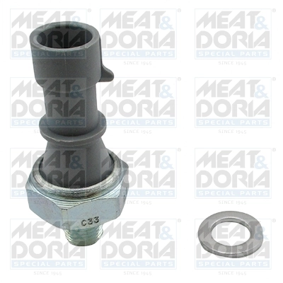 Oil Pressure Switch